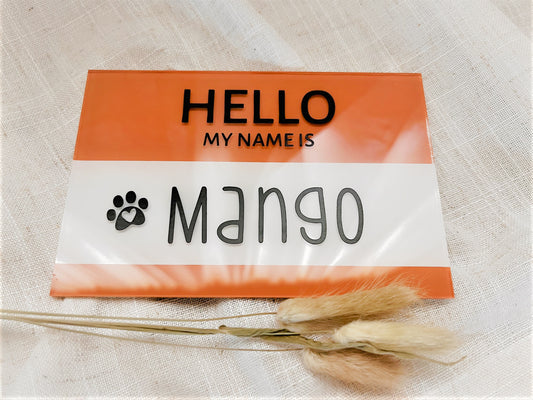 Name Tag Sign 4x6"  PET EDITION